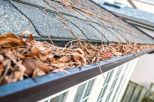 Blocked gutter full of leaves before gutter cleaning