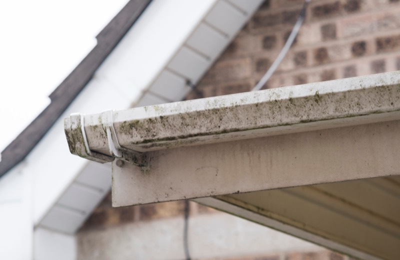 Dirty green fascia board before fascia cleaning in Swansea